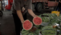 中山娱乐场所吃瓜,揭秘幕后吃瓜故事