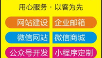 江门网站建设,创新模式与未来发展解析