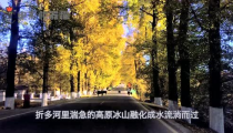 娱乐吃瓜君黄山,揭秘娱乐圈背后的那些事儿